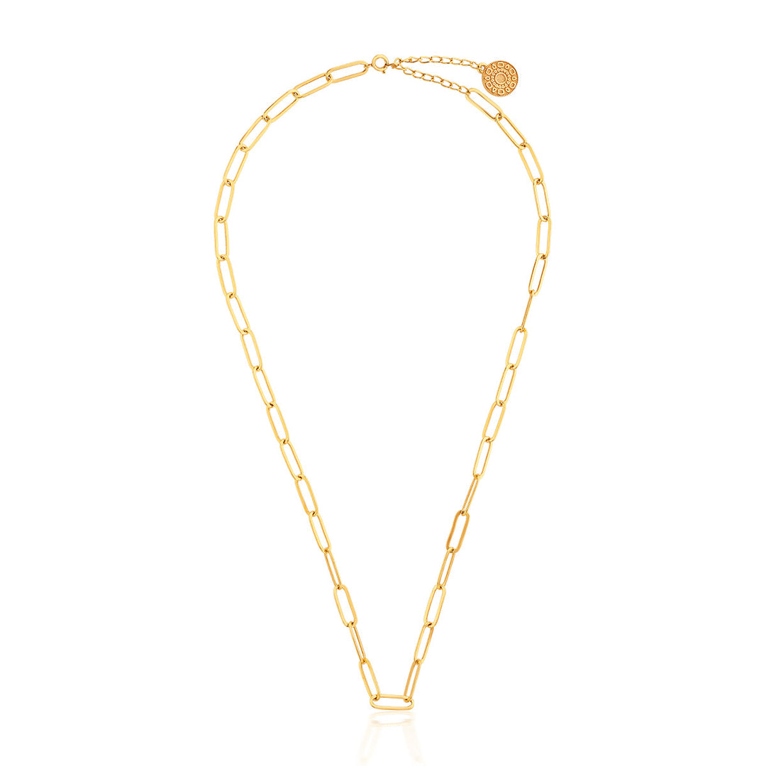 Long loop Gilt Chain Necklace