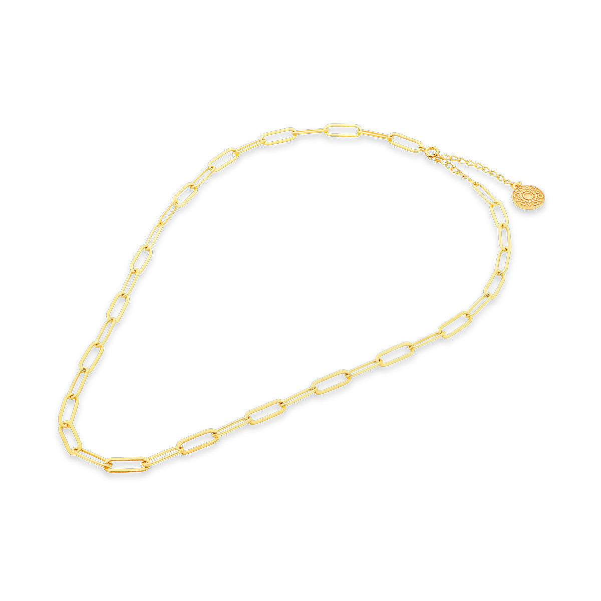 Long loop Gilt Chain Necklace
